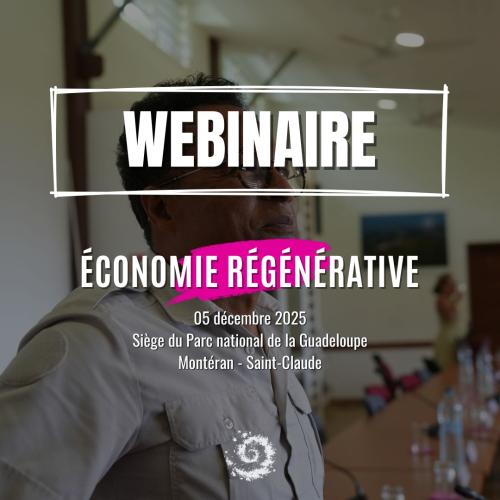 Image phare webinaire