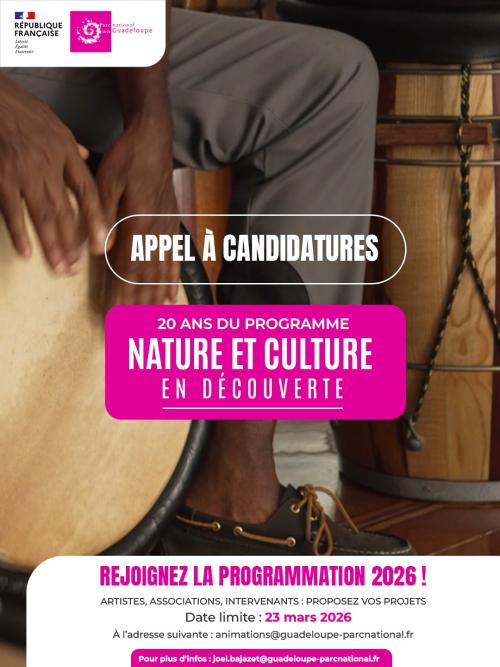 Appel à candidatures NCD 2026