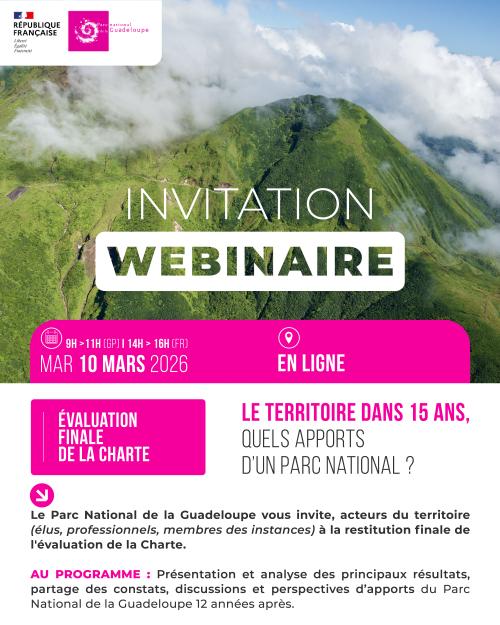 Webinaire 10.03.2026