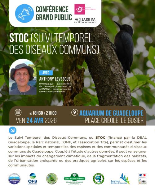 Conférence STOC 2026