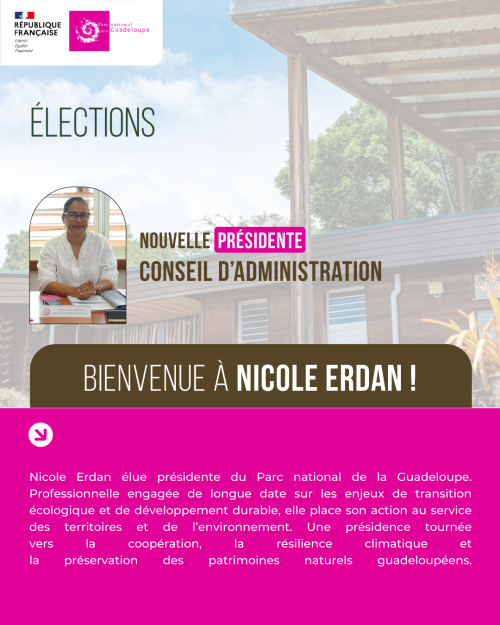 Visuel président Nicole Erdan