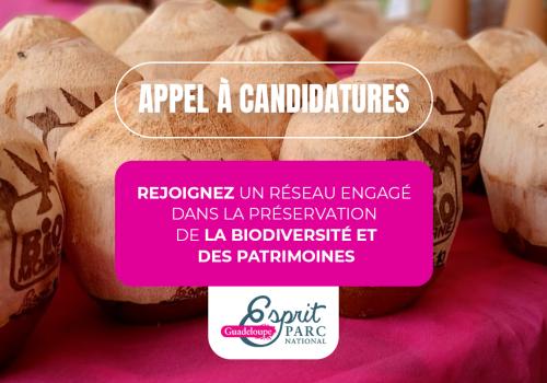  appel-à-candidature-EPN
