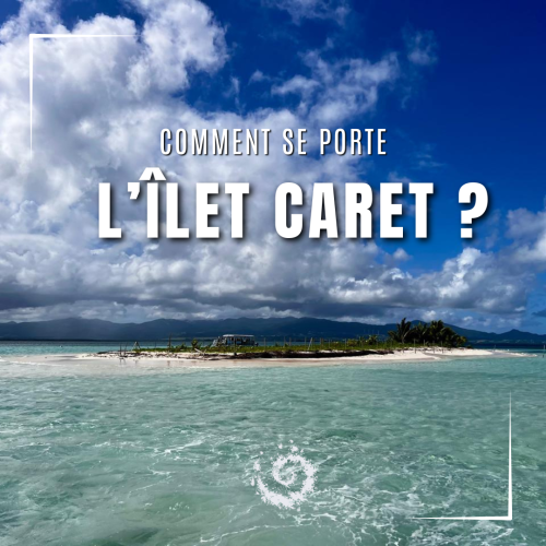 Comment se porte l'Îlet Caret