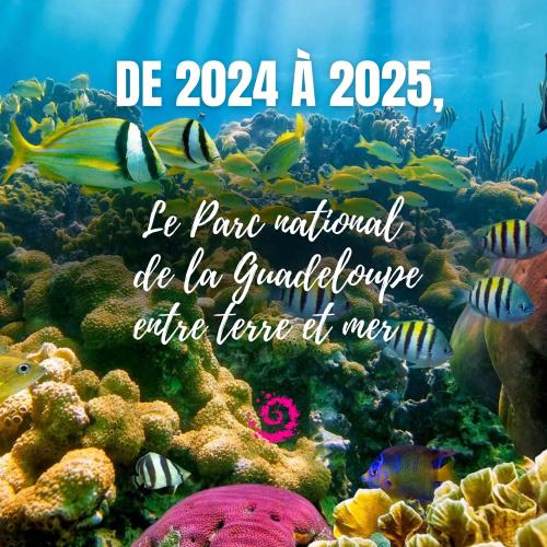 le Parc national, de 2024 à 2025 