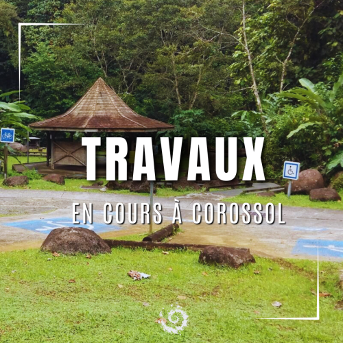 Travaux corossol