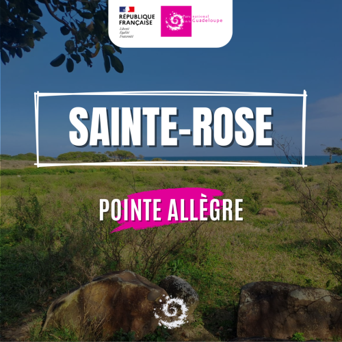 Image à la une - Pointe Allègre