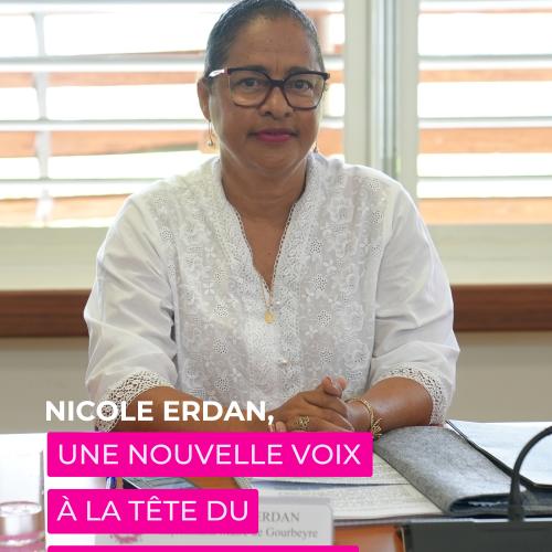 Visuel article