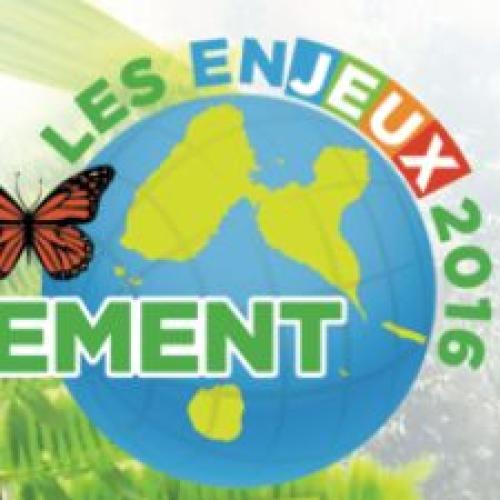 logo_les_enjeux_sde.jpg