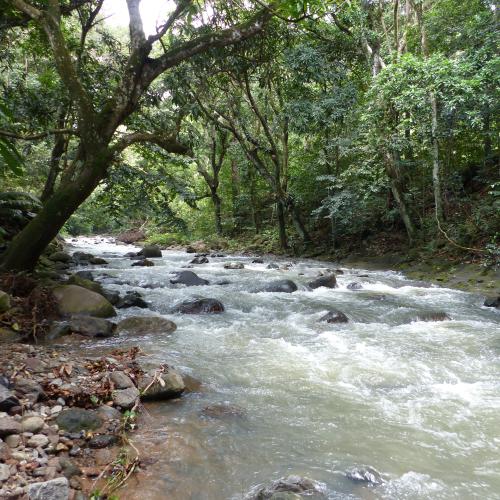 Riviere PETI
