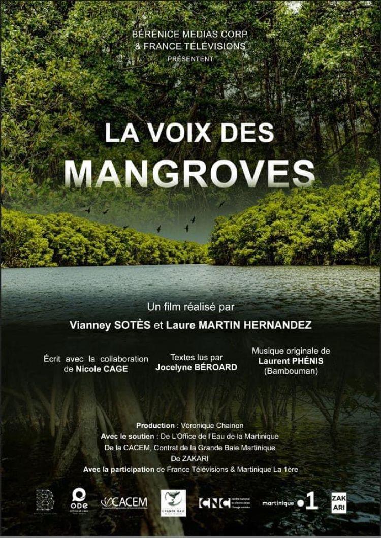 Film "La voix des mangroves"