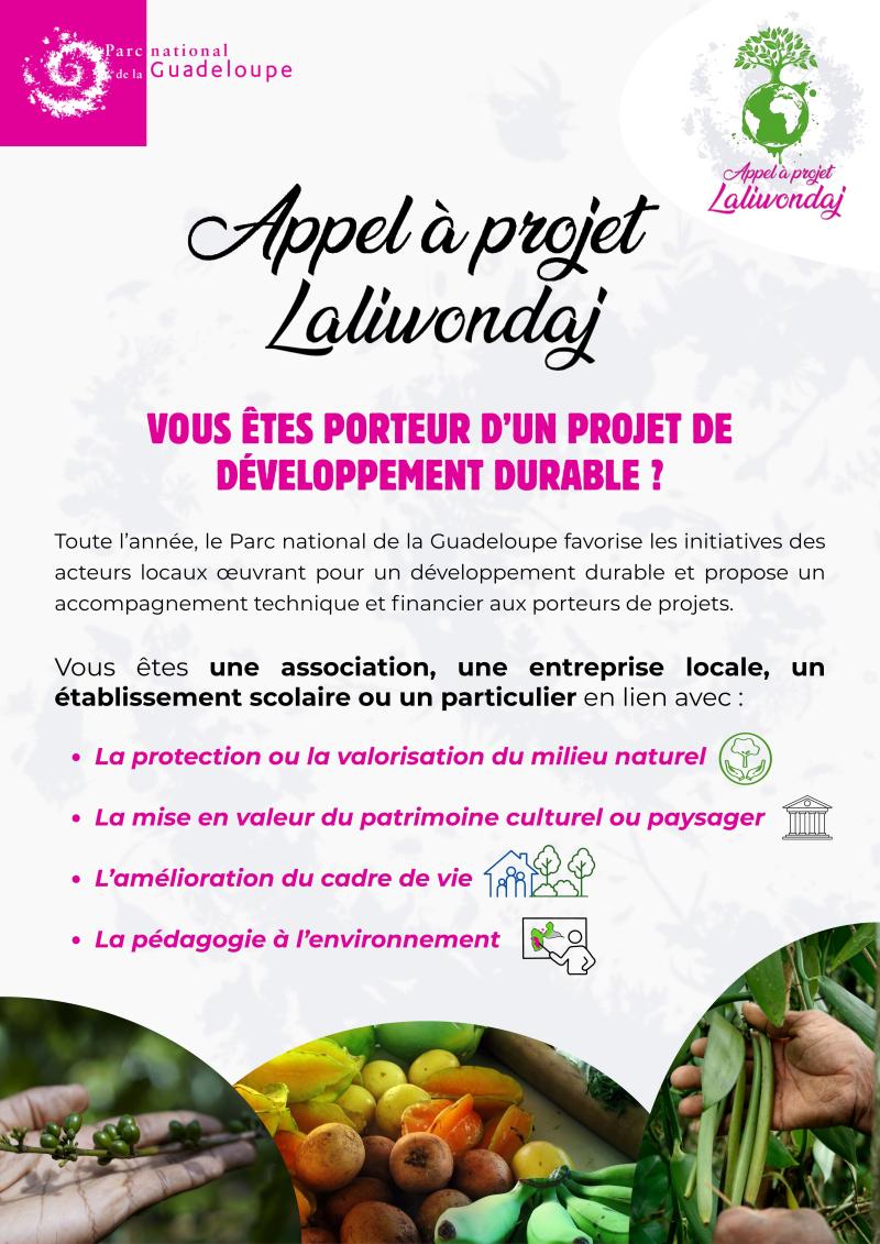  FLYER LALIWONDAJ