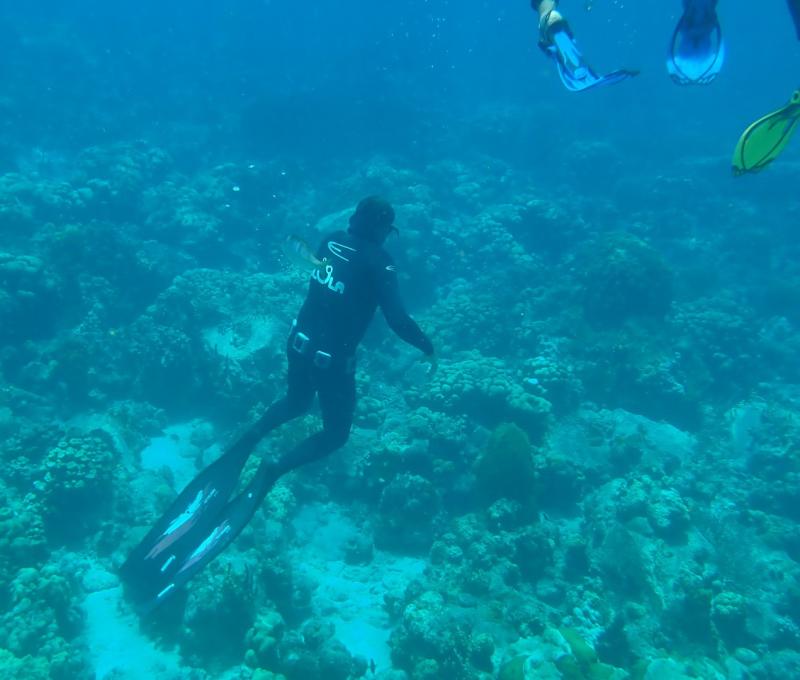 Randonnée palmée © An ba dlo la