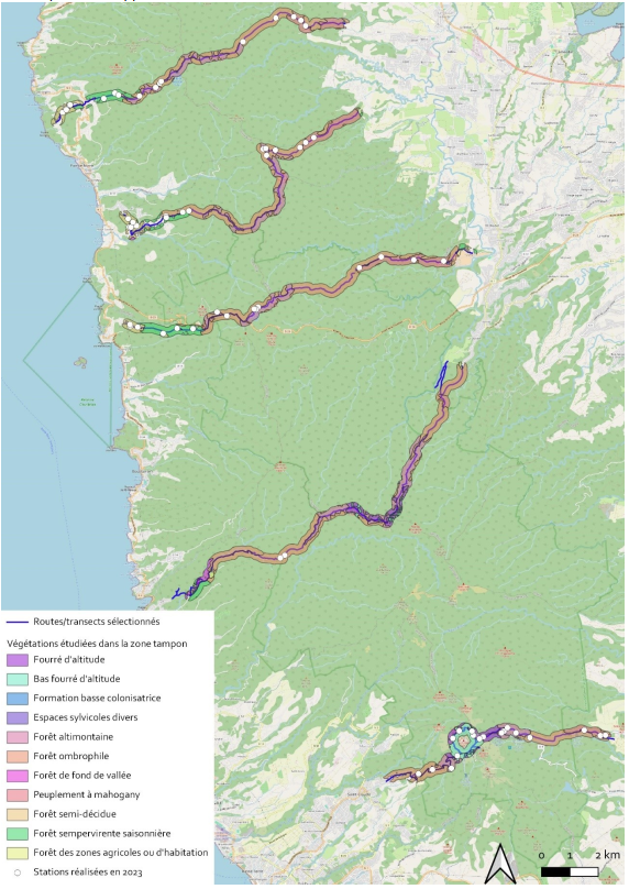 Carte des différents transects (ligne) et des différentes placettes (carrés) réalisées. 