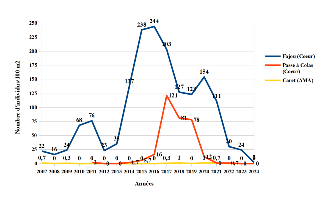 Évolution de la densité des Oursins blancs (Tripneustes ventricosus) (2007 - 2024)