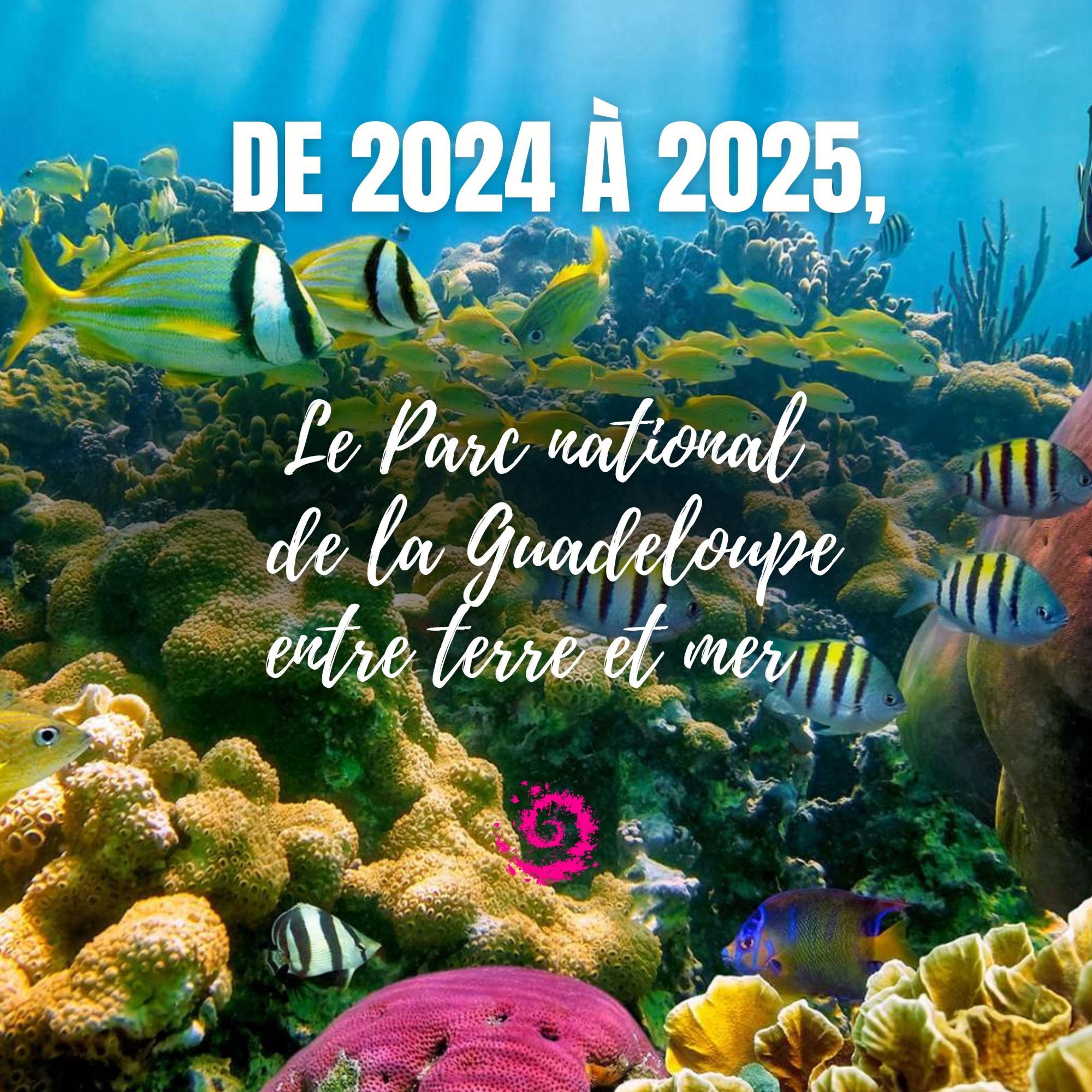 Le Parc national, de 2024 à 2025 