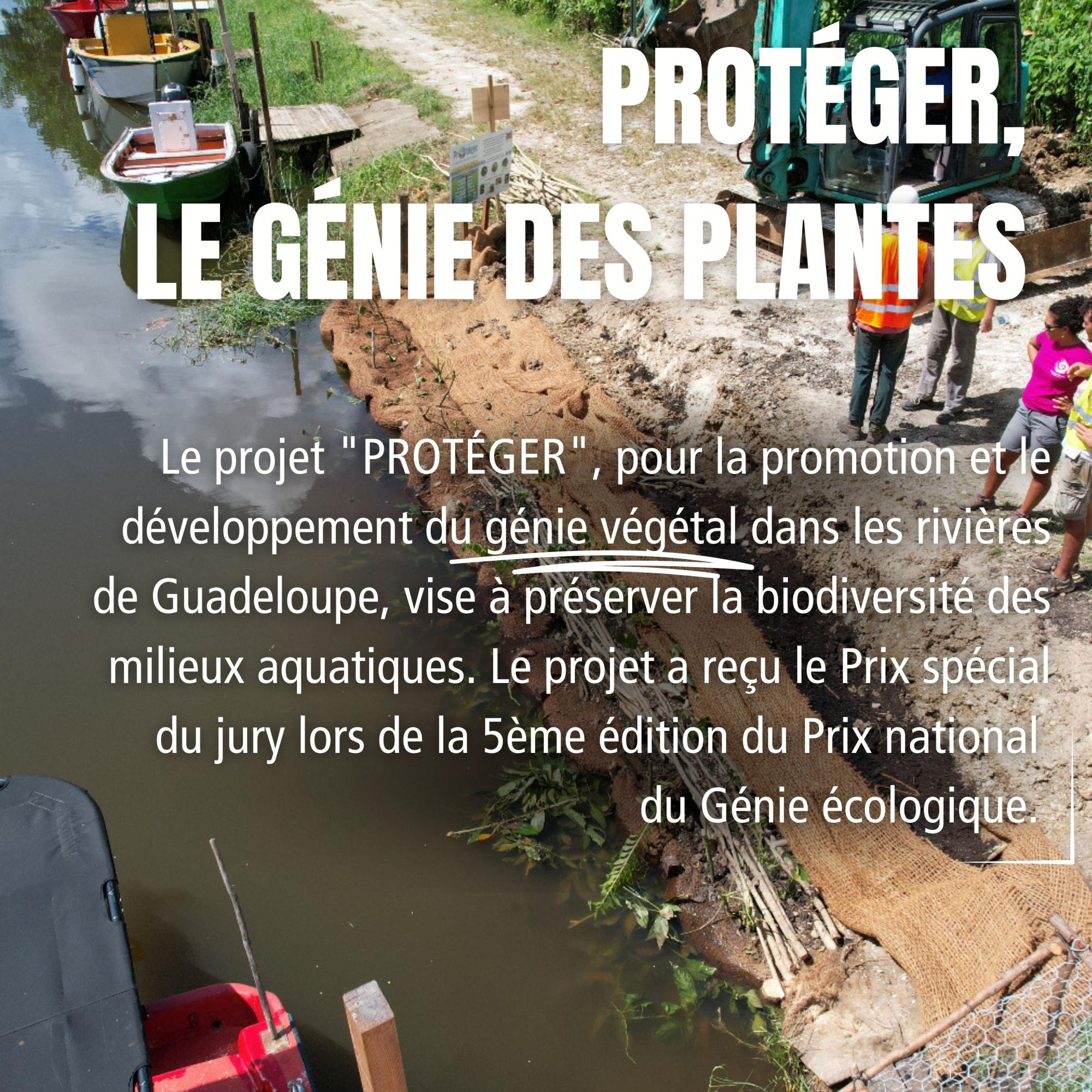 Protégér, le génie des plantes en action 