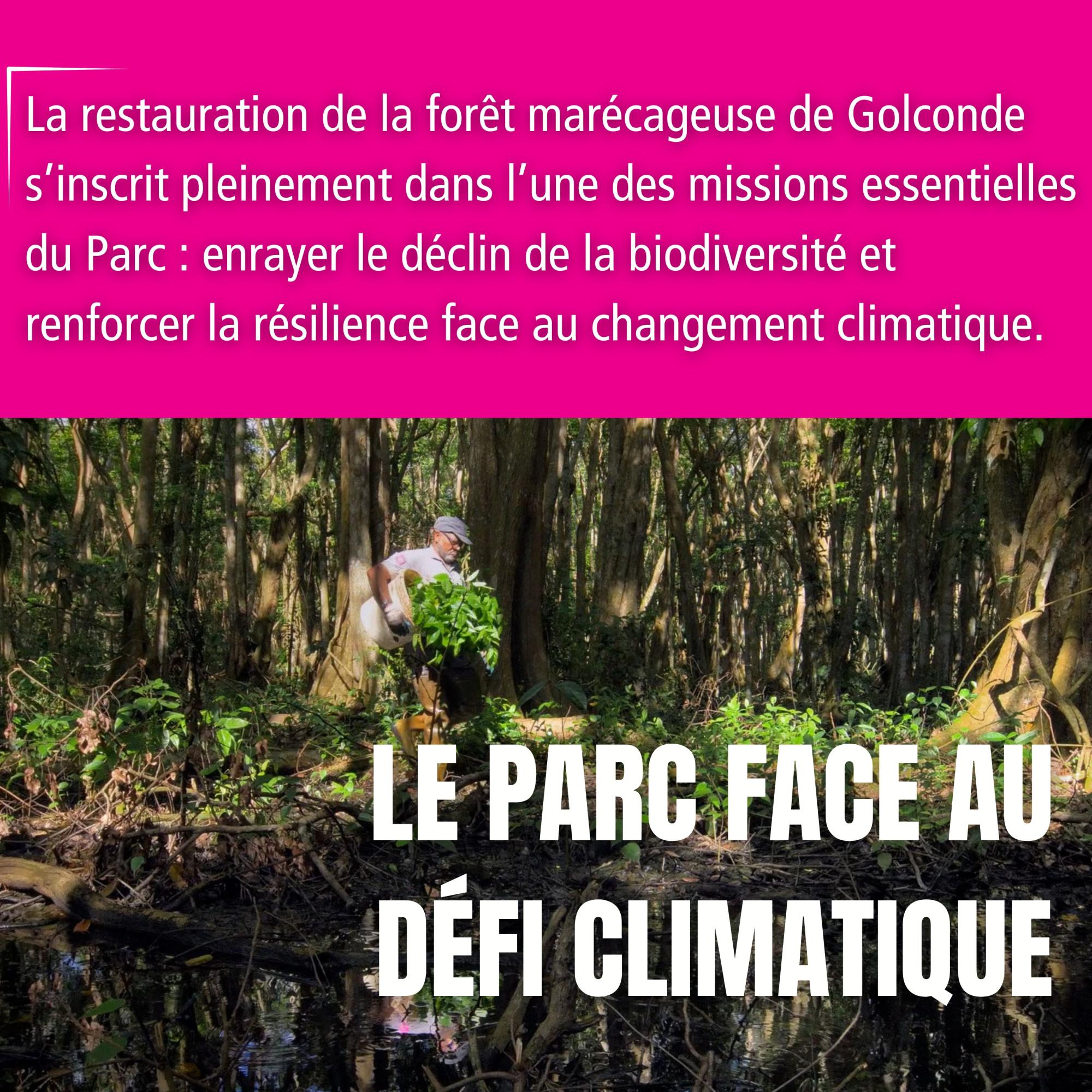 le Parc face au défi climatique 