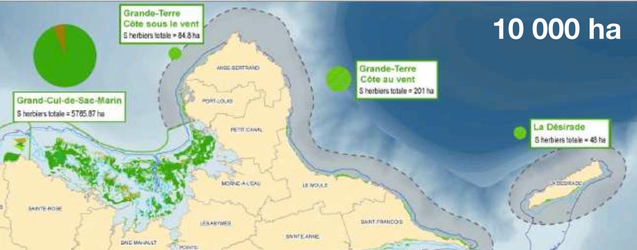site moule