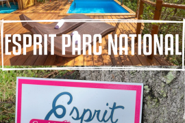 Logo Esprit Parc national