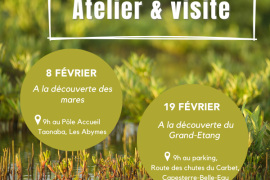 Programme Atelier & visite JMZH 2025