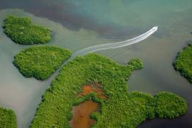 Grand-cul-de-sac marin