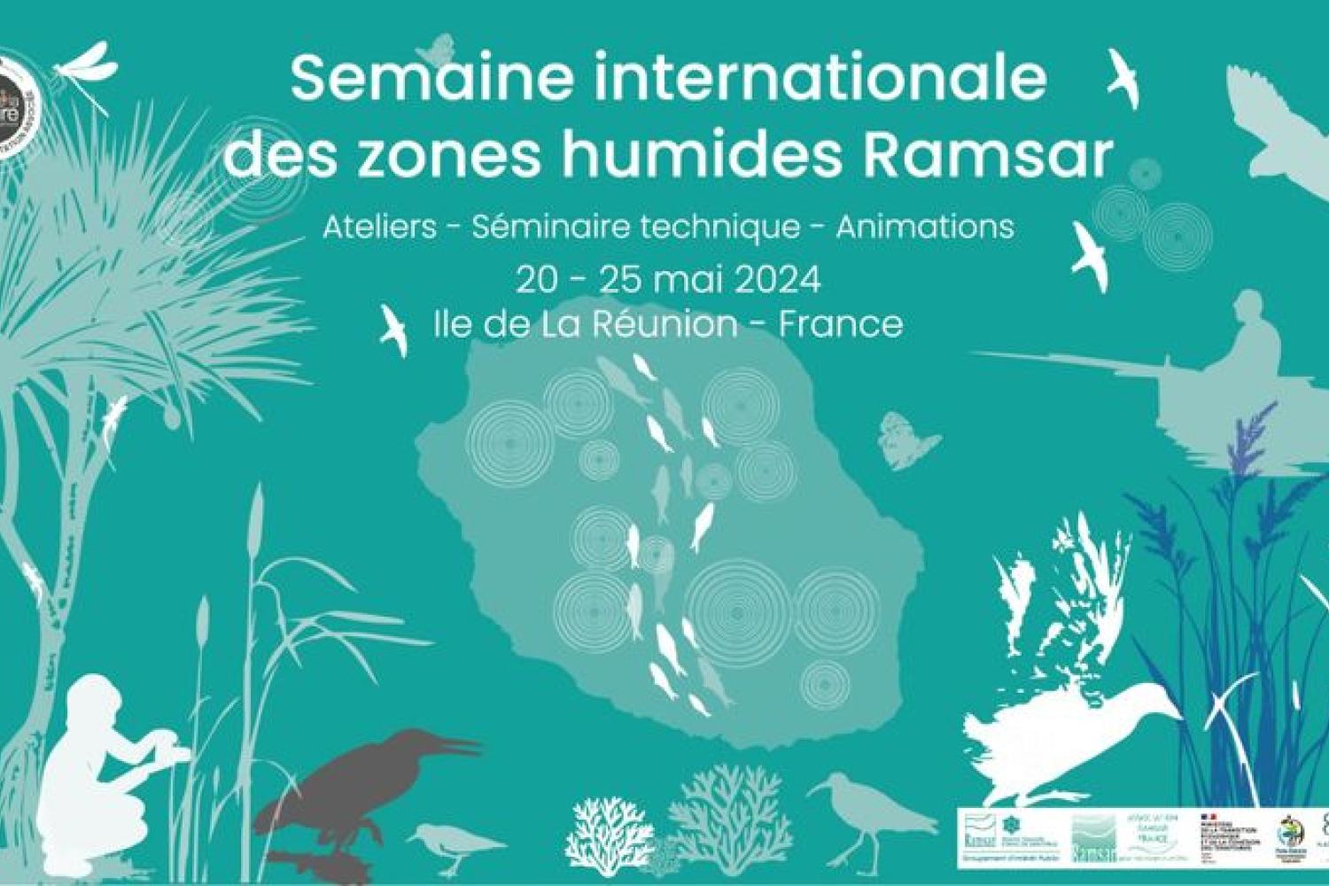 Affiche Semaine internationale des zones humides 2024