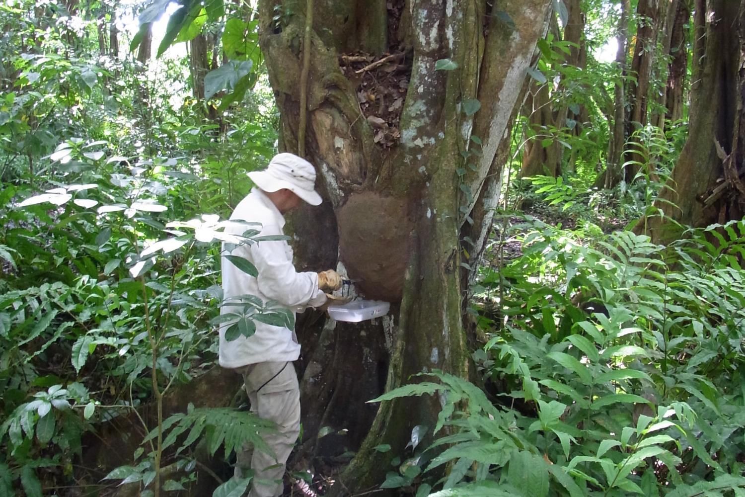 Prélèvements sur le terrain
