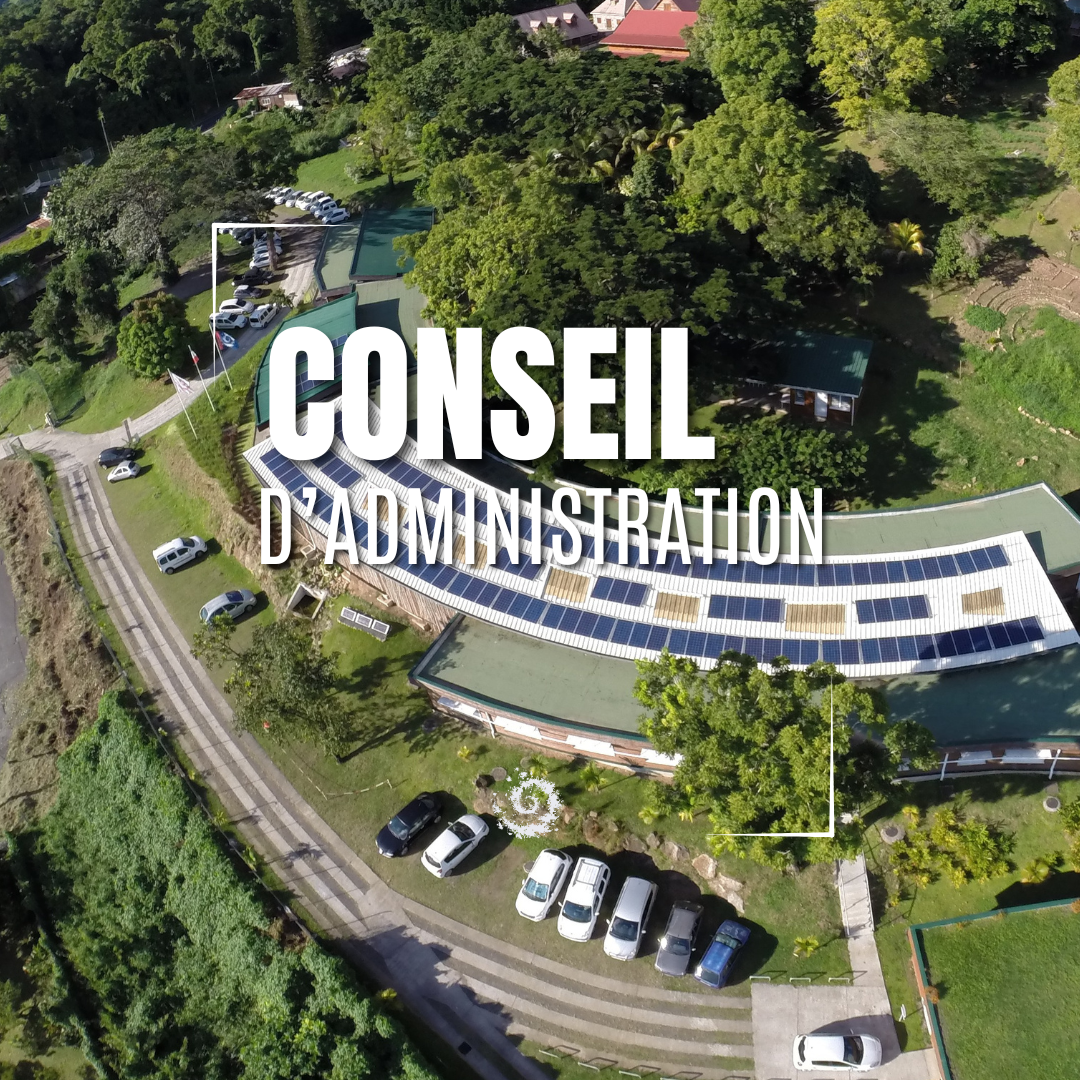  Copie de 10 meilleures randonnées.png 