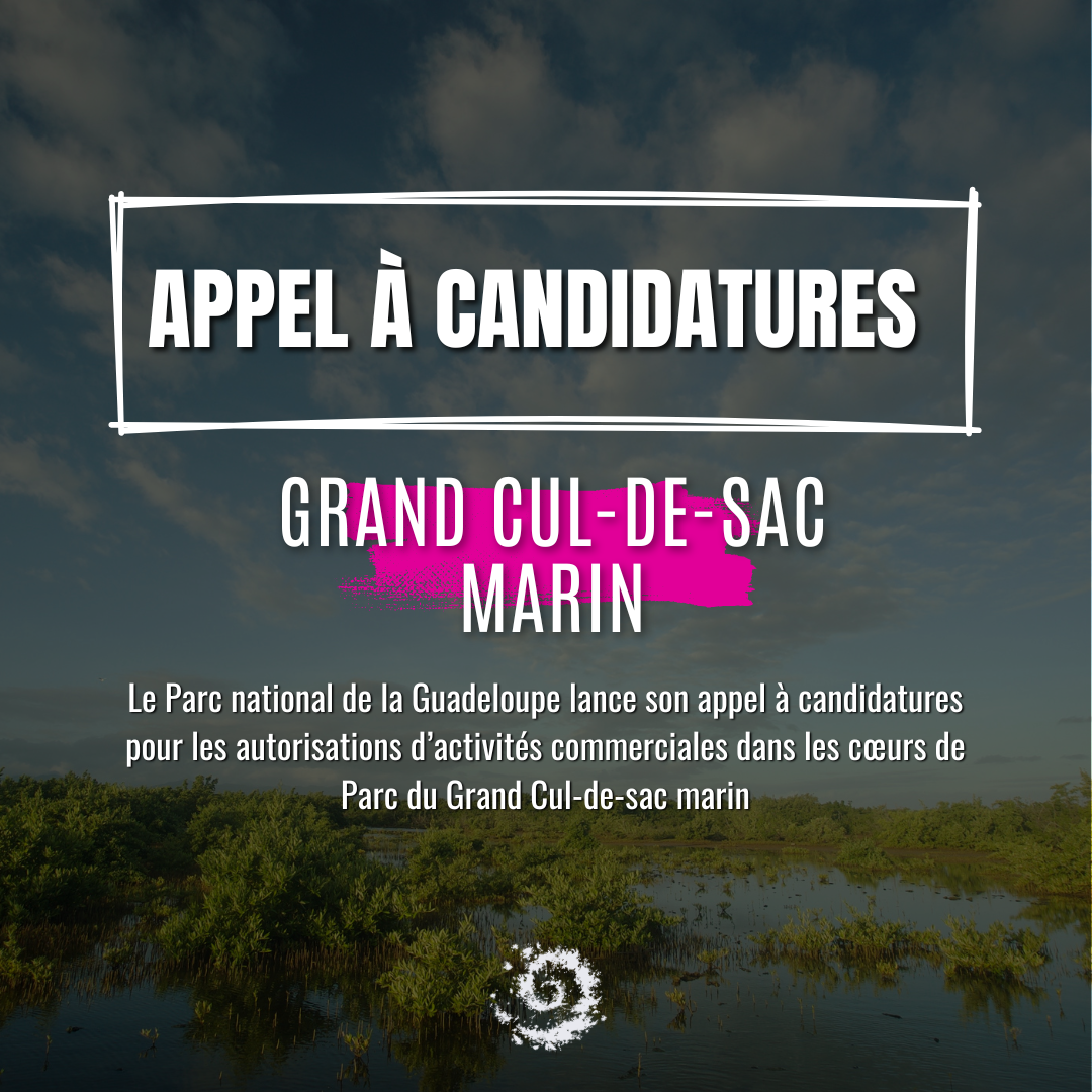 Grand cul-de-sac marin appel à candidatures